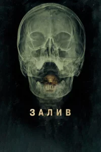 Залив 